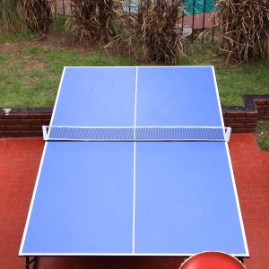 Ping Pong