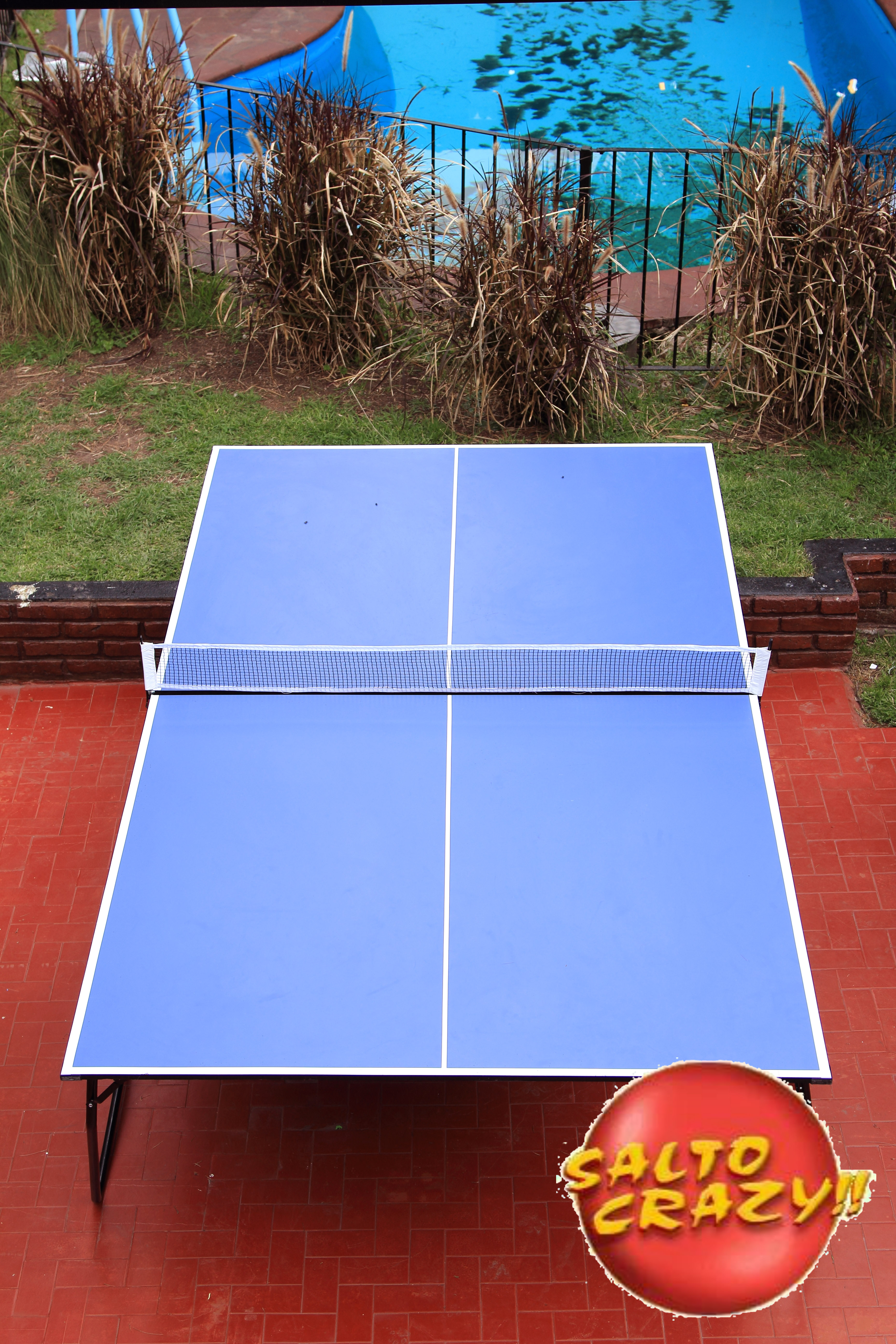 Ping Pong
