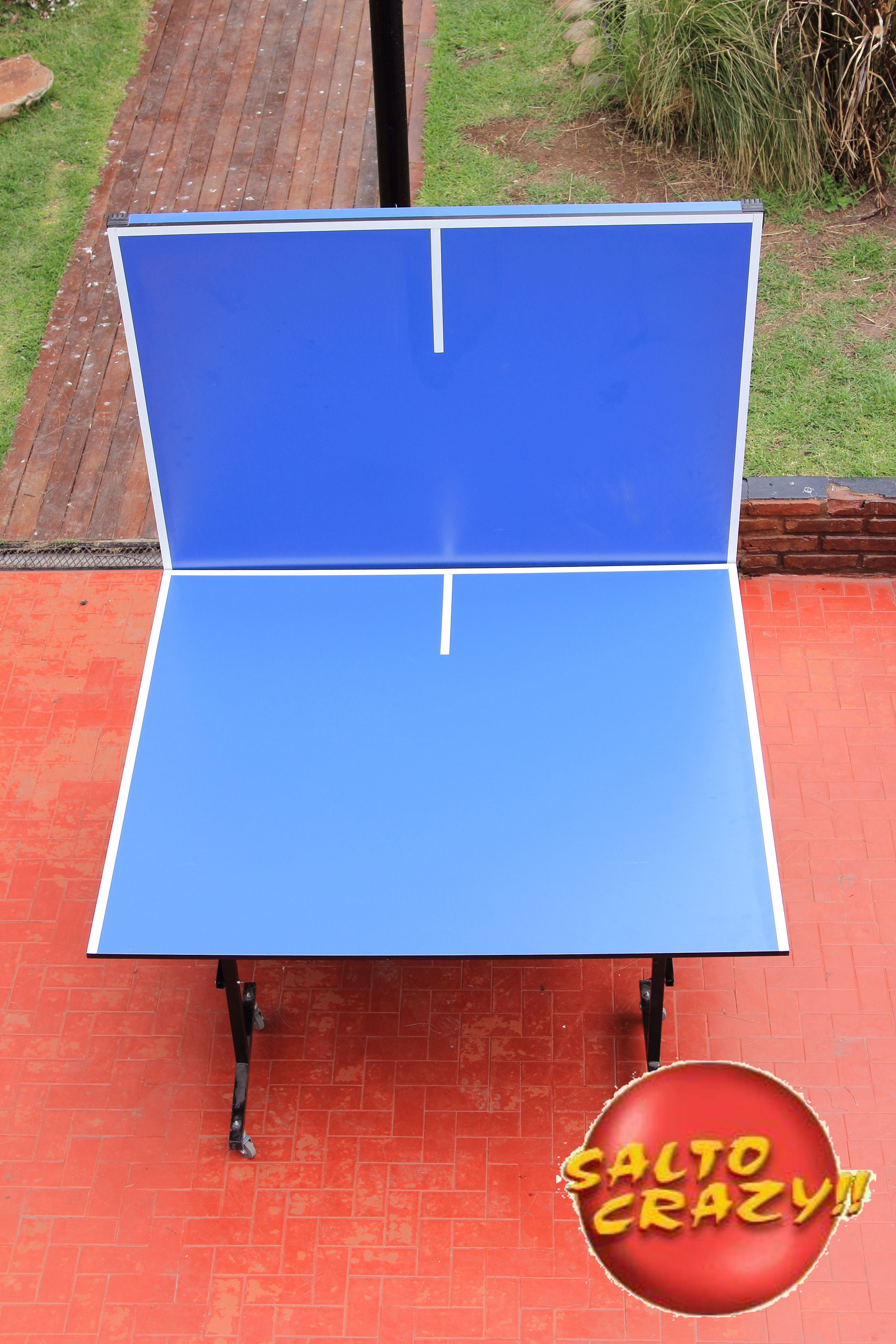 Ping Pong - Imagen 2