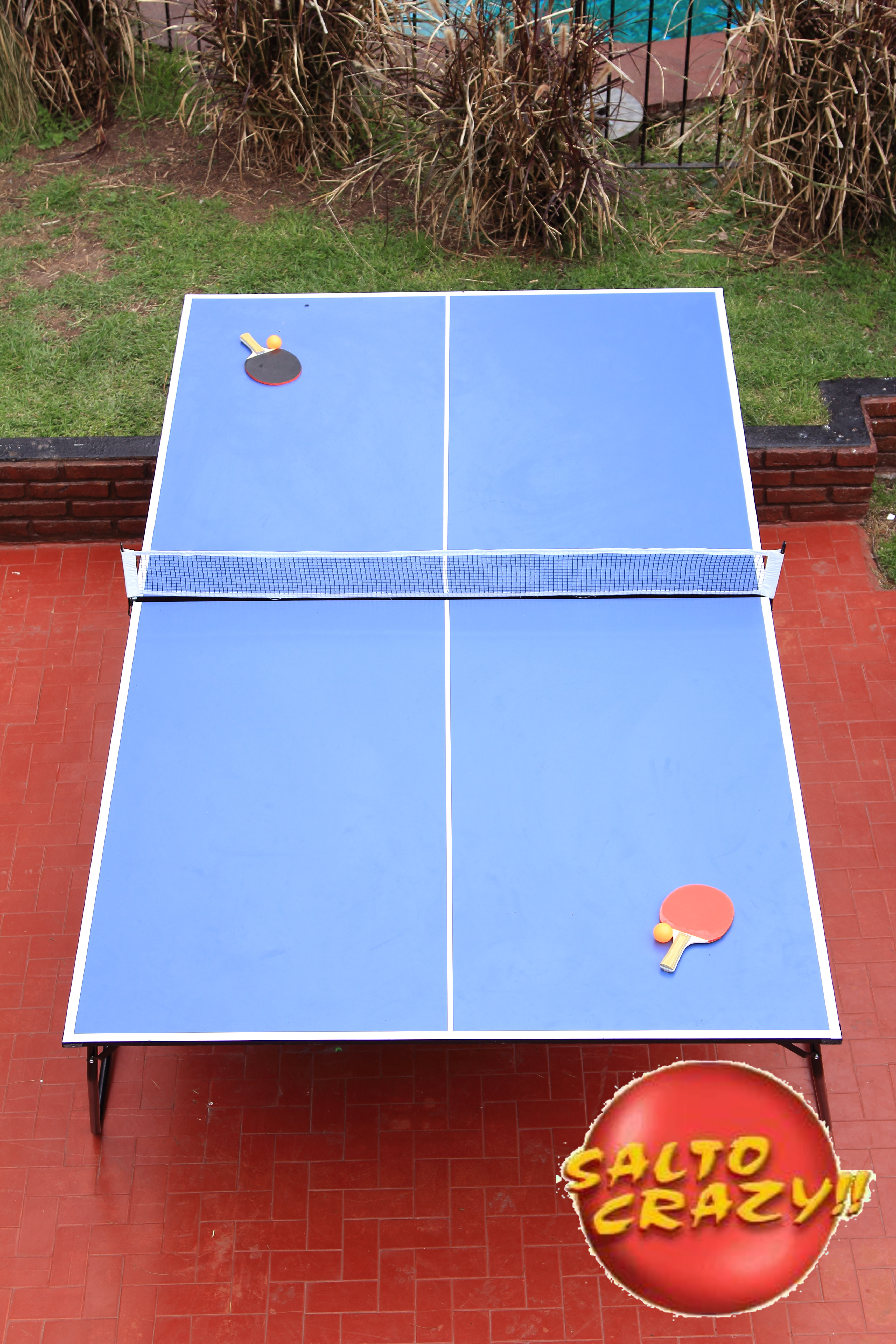 Ping Pong - Imagen 3