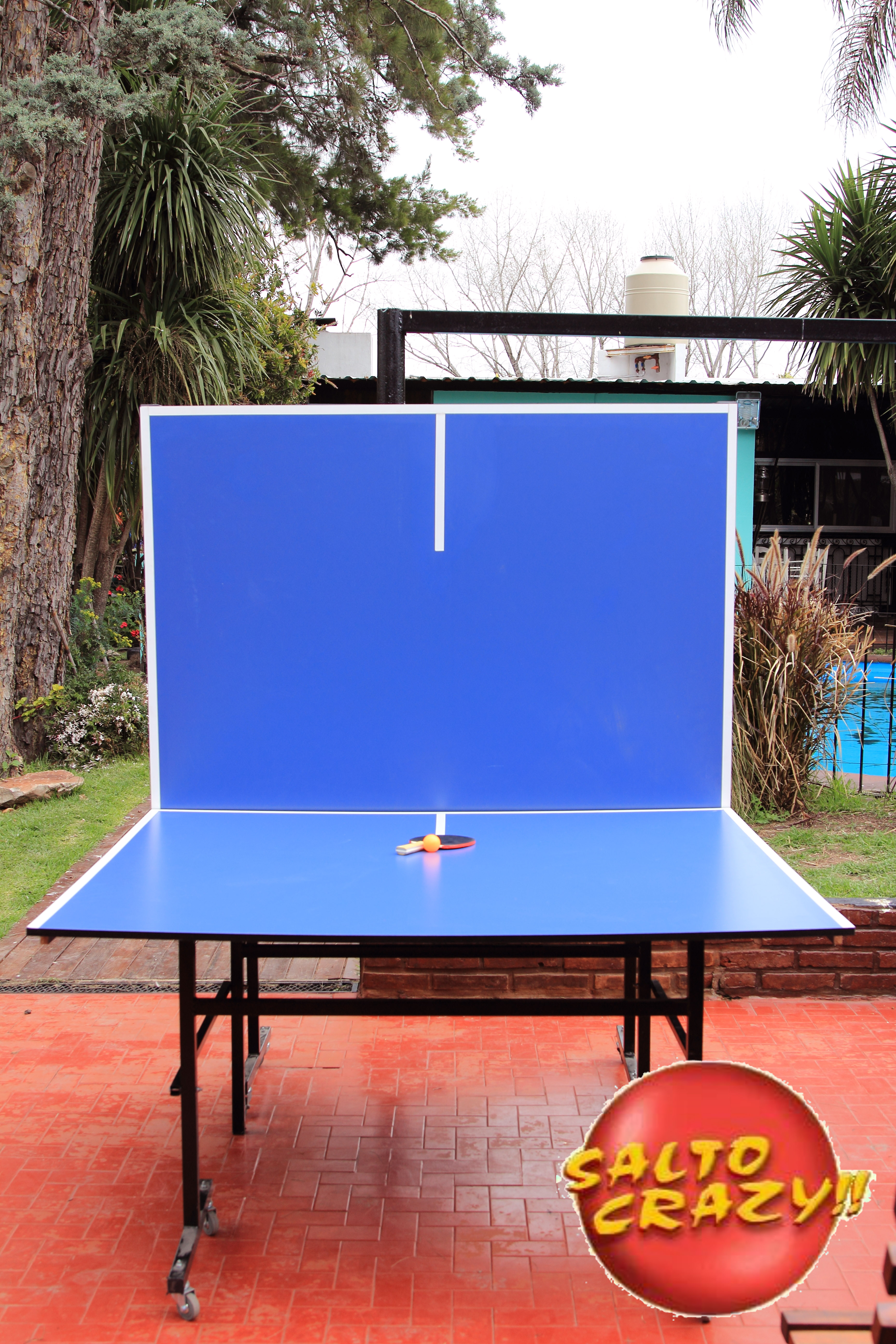Ping Pong - Imagen 4